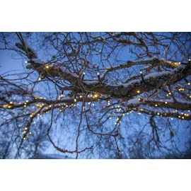 Star Trading System LED Lichterkette 5m 50er warmweiß - schwarz