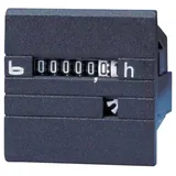 BAUSER 630.2R/008-021-0-1-001 Betriebsstundenzähler - 630.2