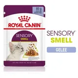 Royal Canin Sensory Smell in Gelee - Sparpaket: x 85 g