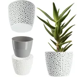 Kadax 13 x 13 x 10,7 cm Grau