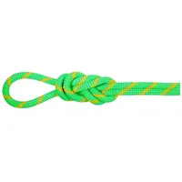 Mammut 8.0 Alpine Dry 60m Kletterseil (Größe 60M, gruen)
