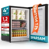 STILLSTERN Mini-Gefrierschrank E 42L Schwarz