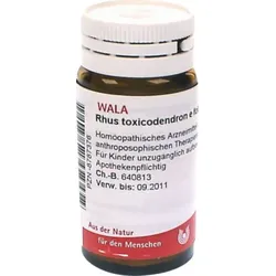 Rhus Toxicodendron E foliis D 6 Globuli 20 g