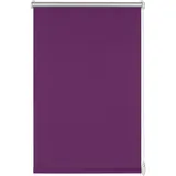 GARDINIA EASYFIX Rollo Thermo 60 x 150 cm lila