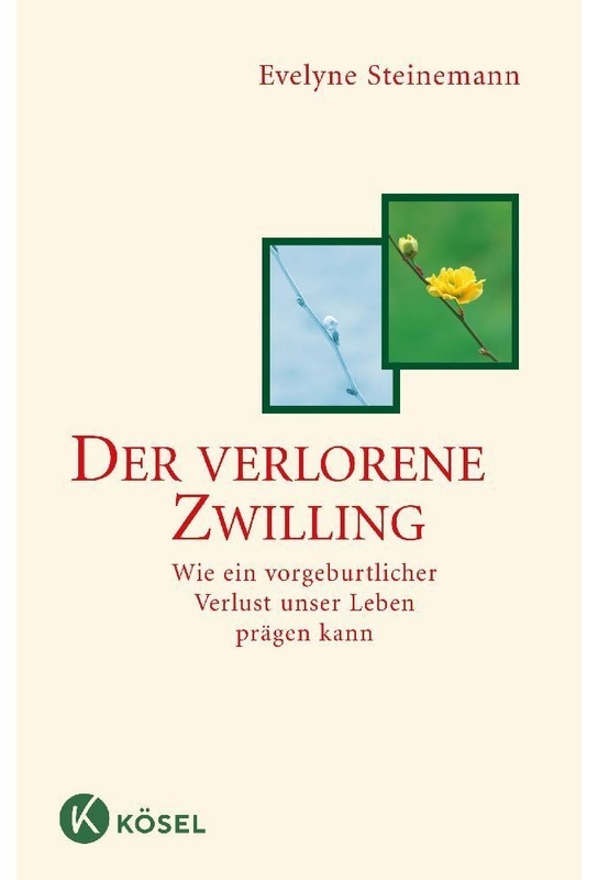 Der Verlorene Zwilling - Evelyne Steinemann  Kartoniert (TB)