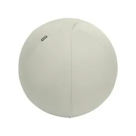 Leitz Ergo Active Sitzball Grau 65 cm