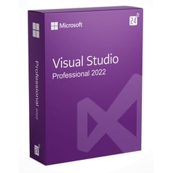 Microsoft Visual Studio 2022 Professional