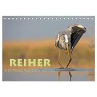 Calvendo Reiher - Der Tanz auf dem Wasser (Tischkalender
