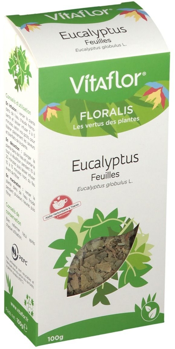 Vitaflor Eukalyptus Blatt