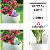 Scheurich Bördy XL Bewässerungskugel 620 ml 3er Set transparent lila grün