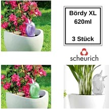 Scheurich Bördy XL Bewässerungskugel 620 ml 3er Set transparent lila grün