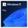 Microsoft Windows 11 Pro DVD DSP/SB FR