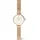 Daniel Wellington Petite Mini Evergold