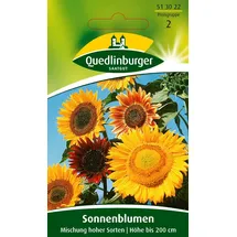 Quedlinburger Saatgut Sonnenblume, Mischung' hoher Sorten