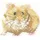 Heritage Crafts Kreativset Heritage Kreuzstich Set Aida "Hamster (A)", (embroidery kit by Marussia)