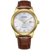 Citizen AW1782-11A Eco-Drive Herrenuhr Solar Braun/Goldfarben