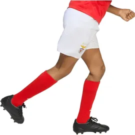 adidas Benfica Lissabon Minikit 2025/26 rot Kinder Gr. 86 cm