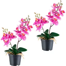 Creativ green Kunstorchidee CREATIV GREEN "Orchidee Phalaenopsis", lila, H:28cm, Kunststoff, Kunstpflanzen, mit real-touch-Blüten