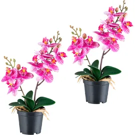 Creativ green Kunstorchidee CREATIV GREEN "Orchidee Phalaenopsis", lila, H:28cm, Kunststoff, Kunstpflanzen, mit real-touch-Blüten
