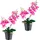 Creativ green Kunstorchidee CREATIV GREEN "Orchidee Phalaenopsis", lila, H:28cm, Kunststoff, Kunstpflanzen, mit real-touch-Blüten