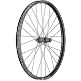 DT Swiss Laufräder, Hinterrad 29"