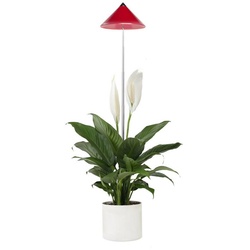 PARUS Pflanzenlampe Indoor plants, Leuchtmittel für Pflanzen, Teleskopstab 1m, SUNLiTE Pflanzenlampe 7W Rot rot