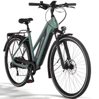 Fischer VIATOR 2.1 28 Zoll RH 45 cm Unisex grün