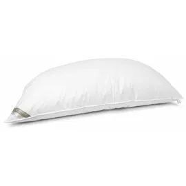 Betten Hofmann Bella Star Oberbett Federbett Ballonbett Winterbett 135x200 cm 2400 g warm