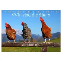 Calvendo Wir sind die Stars am Bauernhof (Tischkalender 2026