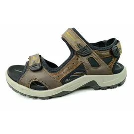 ECCO Offroad Herren espresso/cocoa 43