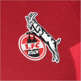 hummel 1. FC Köln Freizeit Poloshirt 2023/24 Herren 3079 - red dahlia L
