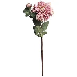 Chic Antique Fleur Dahlie, staubig rosa
