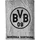 BVB Borussia Dortmund Borussia Dortmund Fleecedecke grau Unisex Gr. L