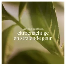 L'Occitane Flüssigseife 500 ml
