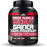 Body World Group BWG Mega Muscle Weight Gainer 5kg Dose Kirsche