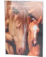 NADEGE L'argile et ses secrets pour mes chevaux Livre De Poche 1 pc(s)