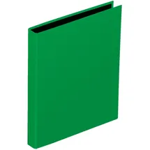 Pagna Ringbuch Basic Colours DIN A4 grün