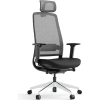 Yaasa Chair Expert Bürostuhl Ergonomisch mit Kopfstütze, Schwarz –