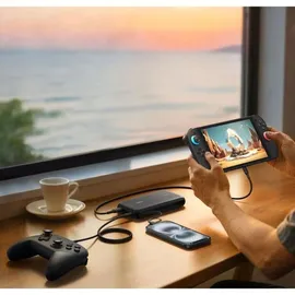 Belkin Powerbank 20.000mAh für Nintendo Switch schwarz
