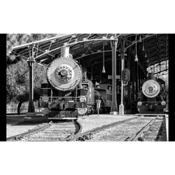 Fototapete PAPERMOON "Bahnhof Schwarz & Weiß", schwarz (schwarz, weiß), B:4,50m L:2,80m, Vlies, Tapeten