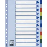 Esselte Register Blanko, A4, PP, mehrfarbig