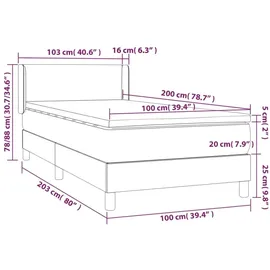 vidaXL Boxspringbett 100 x 200 cm Dunkelgrau