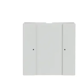 ABB Stotz S&J Bedienteil Solo 6125/02-84-500