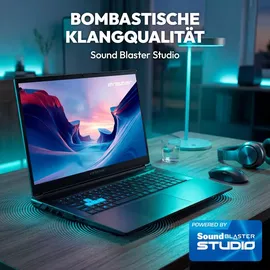 Medion Defender 17 P10 17,3" Intel Core i9-14900HX 16 GB RAM 1 TB SSD NVIDIA GeForce RTX 5060 Windows 11 schwarz