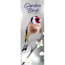 Avonside Garden Birds Slim Calendar 2026 Bird Slimline Calendar - 12 Month