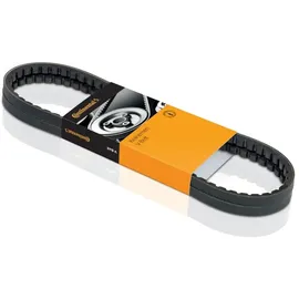 Continental Keilrippenriemen AVX10X770