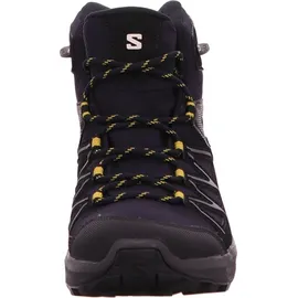 Salomon DAINTREE MID GTX