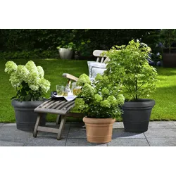 Scheurich Formia 60, Pflanzgefäß / Blumentopf / Pflanzkübel, hergestellt mit recyceltem Kunststoff, 10 Jahre Garantie