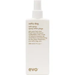 evo Salty Dog Salt Spray 200 ml