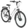 Prophete Geniesser 2.0 28 Zoll RH 48 cm Weiß